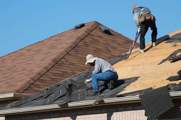 Best Solar Panel Roofing Installation  in Algood, TN